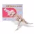 3D fa makett, T-rex 33cm