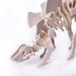 3D fa makett, Stegosaurus