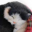 Nyávogó plüss cica kiságyban fekete fehér